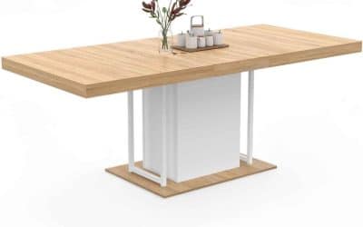 Avis sur la table extensible IDMarket UGO 6-10 personnes