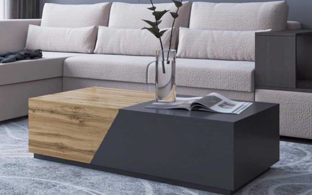 Test : table basse Pitt, bois gris et rangement ingénieux